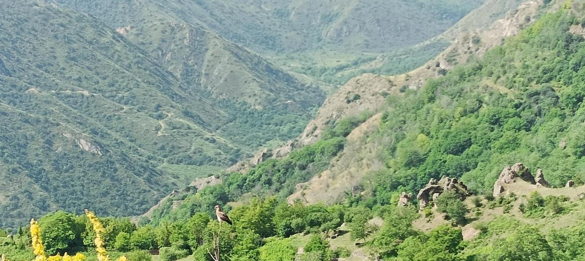 Kirch Hotel & Restaurant Goris Εξωτερικό φωτογραφία